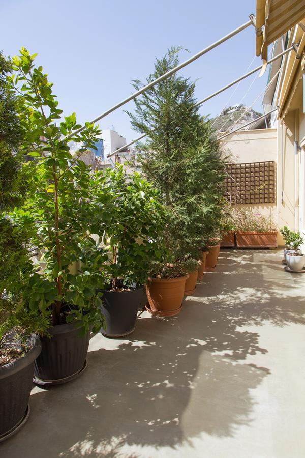 Beautiful Penthouse In Athens With Outside Jacuzzi Lejlighed Eksteriør billede